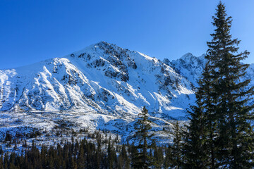 Fototapete - Winter landscape of the Tatra Mountains, Poland