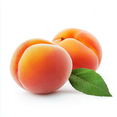 Poster - Apricot Isolated On White