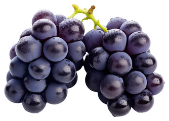 Poster - PNG Grapes grapes fruit berry.