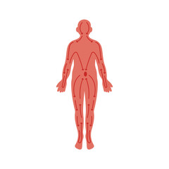 Fototapete - Human Body, Meridians flat vector illustration isolated