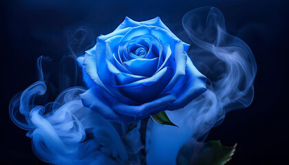 Wall Mural - neon blue rose wrapped in blue smoke swirl on dark heritage