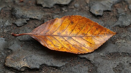 A close-up of a brown, autumn leaf resting on a textured surface.