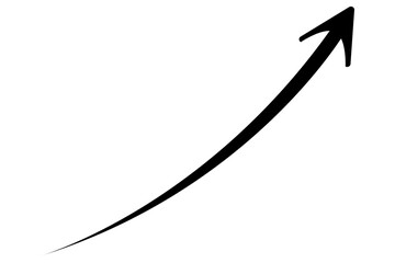 Wall Mural - black curved graph with arrow png file type