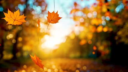 Wall Mural - autumn leaves dance in golden sunlight near trees