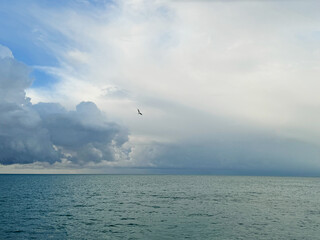Wall Mural - cloudy sky over calm blue ocean.