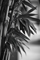 Elegant Bamboo Palm: Stylish Botany Decor with Foliage and Floral Touches
