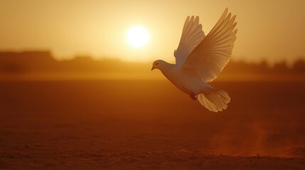 Sticker -   A white bird flying in the sun with its wings spread wide behind its body