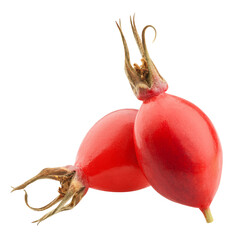 Wall Mural - rose hip isolated on white background, full depth of field