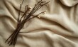 © TheoTheWizard - A bunch of twigs are on a white cloth