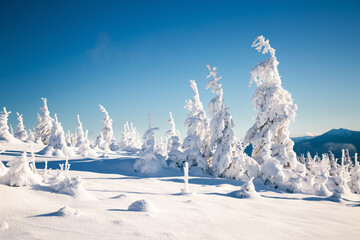 Aufkleber - Incredible winter landscape with lots of snow on fir trees. Photo wallpaper. Happy new year greeting card.