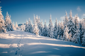 Aufkleber - Fantastic winter landscape with lots of snow on fir trees. Photo wallpaper. Discovery the beauty of earth.