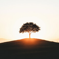 Wall Mural - Solitary tree atop a hill at sunrise, silhouetted against a glowing sky, creating a serene and tranquil atmosphere.
