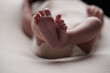 © Rotana - A close-up of newborn baby feet, symbolizing purity, warmth, and the beauty of early life. The soft lighting and neutral tones create a serene and intimate moment of infancy.