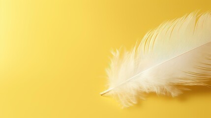 Wall Mural - A delicate white feather gracefully rests on a vibrant yellow background, perfect for adding a touch of elegance.