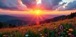 © Phennapha - Sunset over rolling hills with wildflowers , natural, colors