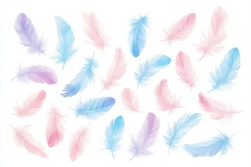 Wall Mural - A watercolor illustration, hand-drawn with colored feathers, set against a white isolated background