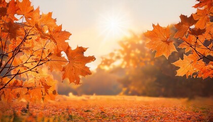 orange fall leaves autumn natural background with maple trees autumnal landscape