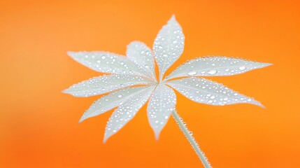 Wall Mural - Dew-covered leaf against vibrant orange background.