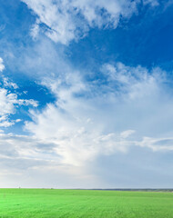 Wall Mural - clear blue sky with a few clouds