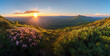 A beautiful mountain landscape with a bright sun shining on the flowers