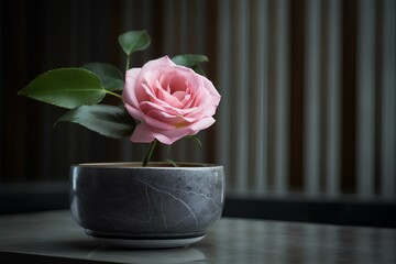 Wall Mural - pink rose in a vase