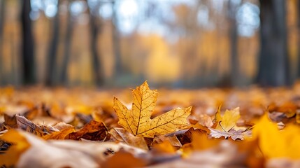 Poster - Closeup view of a bright yellow maple leaf amidst a blanket of autumn foliage on the forest floor : Generative AI