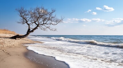 Leinwandbilder - Scenic view of a beach with waves crashing on the shore and a lonely tree : Generative AI