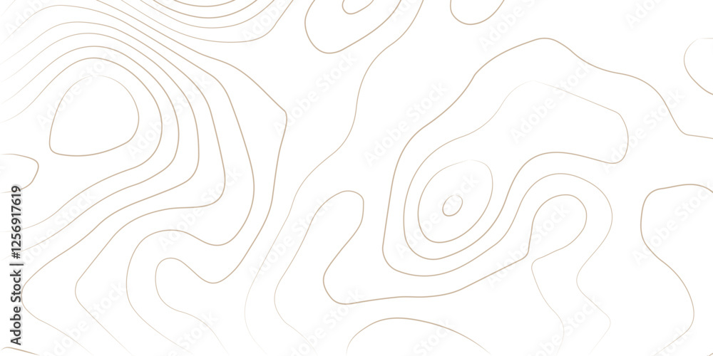 Abstract Topographic Pattern Banner Background, geographic line map ...