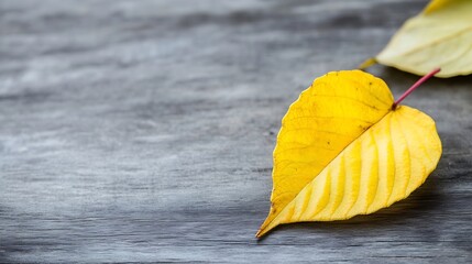 Poster - Yellow leaf resting on a weathered wooden surface creating a rustic autumn ambiance : Generative AI