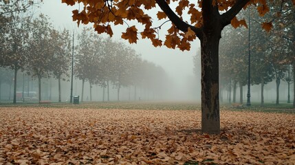 Wall Mural - A tree in a park surrounded by smog, with leaves covered in dust.