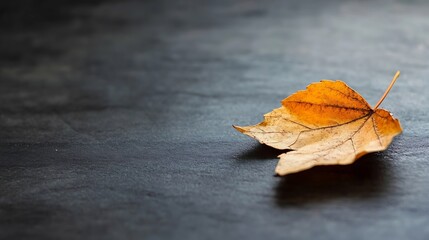 Poster - Single dried autumn leaf resting on a dark textured surface creating a moody atmosphere : Generative AI