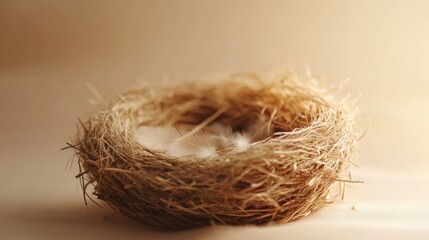 Canvas Print - Bird Nest with Feather, Soft Light, Studio Shot