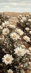 Wall Mural - Desert blooms, dunes backdrop, serene landscape