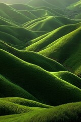 Wall Mural - Green hills, grassy field, soft lighting, minimalism