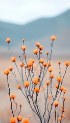 Wall Mural - Orange flowers bloom, mountain backdrop, nature scene, spring