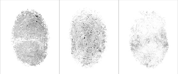 vector black fingerprint on white transparent background.