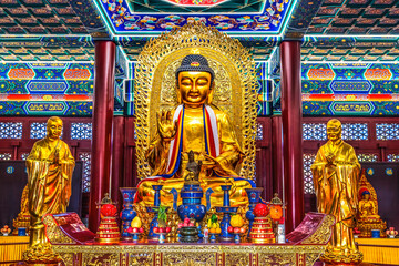 Wall Mural - Golden Buddha Statue Daibeiyuan Temple of Great Compassion Tianjin China