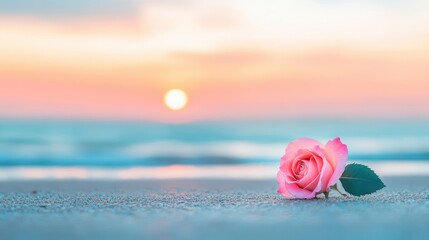Aufkleber - Pink rose placed on sandy beach during vibrant sunset with colorful sky and gentle waves in the background