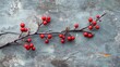 © addymawy - Bright red berries on a branch laid on a textured surface