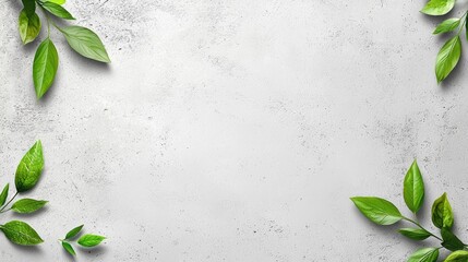 Wall Mural - Fresh green leaves on grey stone background; nature, spring, design, banner