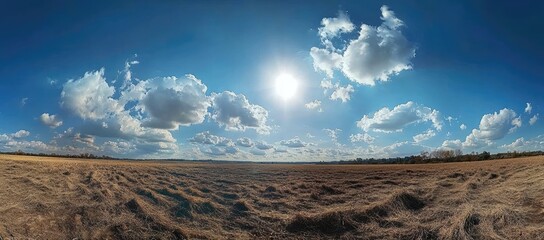 Wall Mural - sunny day, dry field, cumulus clouds, horizon, landscape