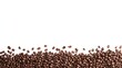 © William - Seamless Horizontal coffee bean isolated on White background - Caffeine boarder Background