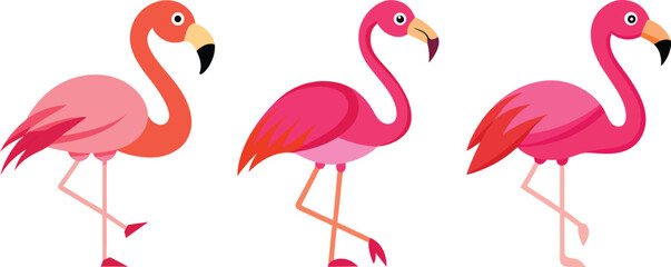 Wall Mural - set of pink flamingo vector, vector and illustration, vector style