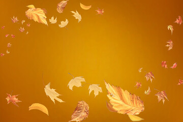Wall Mural - falling autumn leaves background abstract seasonal backdrop october