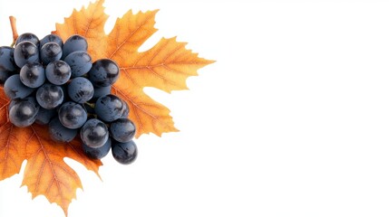 Wall Mural - A bunch of grapes and a leaf on a white background