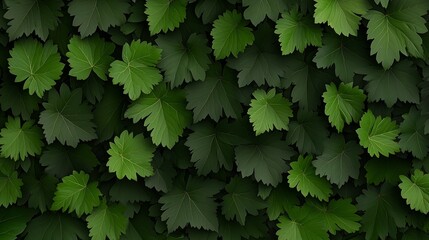 Wall Mural - a bunch of green leaves that are on a wall