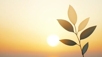 Wall Mural - A branch of a tree with leaves in front of the sun