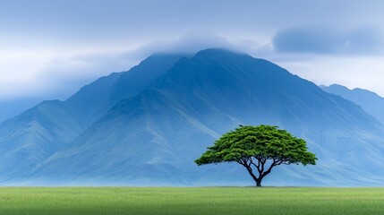 Canvas Print - A lone tree in the middle of a grassy field with mountains in the background