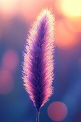 Wall Mural - A close up of a purple flower with a blurry background