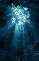 Wall Mural - A dark jungle with light rays shining through the canopy, creating an ethereal atmosphere. The background is a dense forest of trees and foliage. In front, there's a large opening through which 